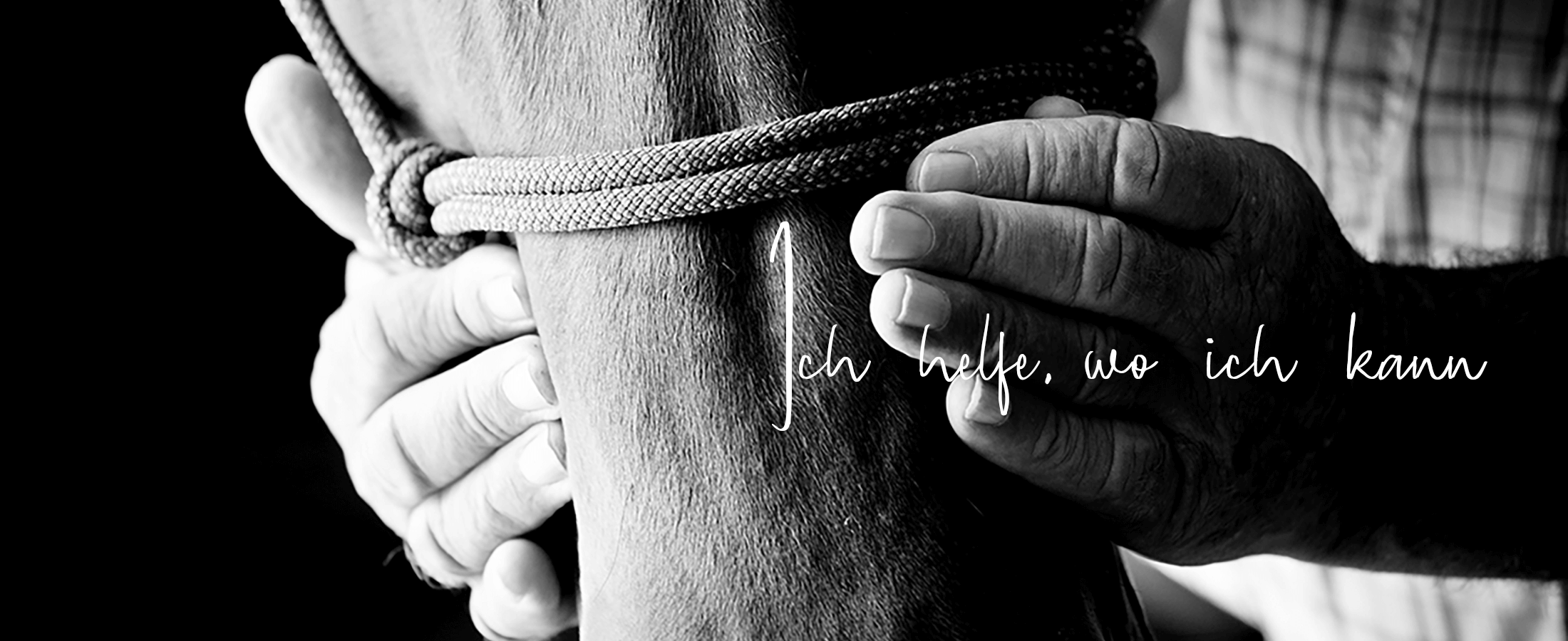 farmers-hands_Leistungen